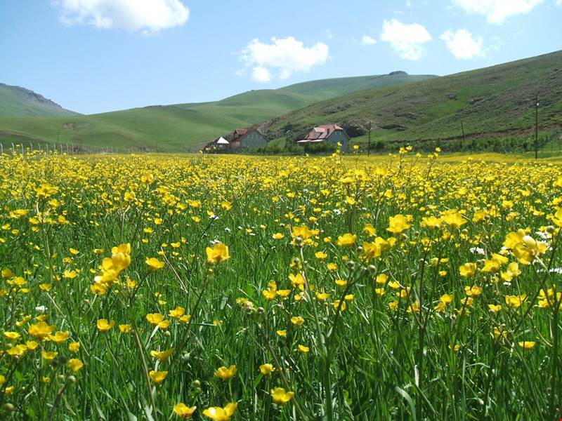 Açıklama: Taşköprü